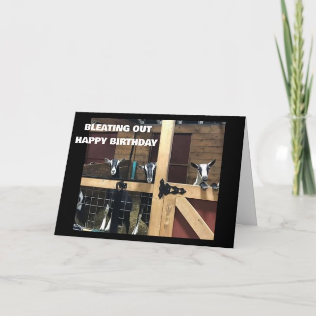 COOLA GOATS BLEAT OUT "LYCKLIG 40 BIRTHDAY" KORT (Framsida)