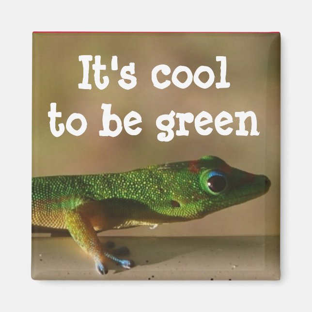 Coola Grönt Gecko Magnet (Framsidan)