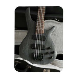 Coola Guitar Magnet
