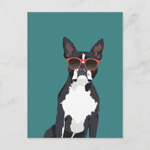 Coola Hipster Black and White Boston Terrier Vykort