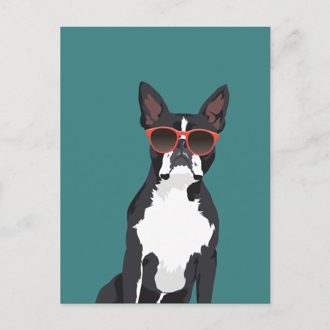 Coola Hipster Black and White Boston Terrier Vykort (Framsida)