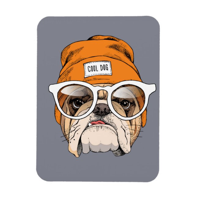 Coola Hipster Bulldog Magnet (Vertikal)