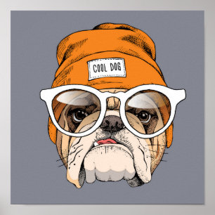 Coola Hipster Bulldog Poster