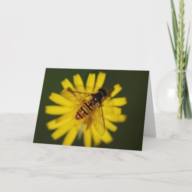 Coola Honungsbi på blomning i naturfoto Kort (Framsida)