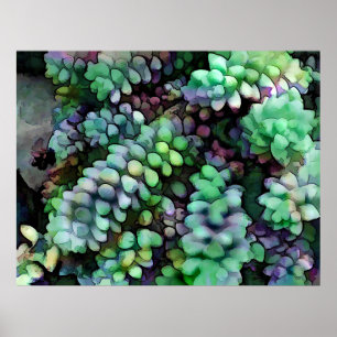 Coola Hued Burros Svan i Hett Desert Poster