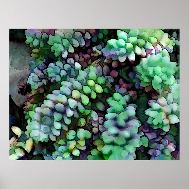 Coola Hued Burros Svan i Hett Desert Poster (Framsidan)