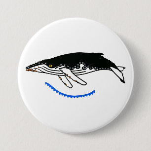 Coola Humpback WHALE Wildlife - Nature - Knapp