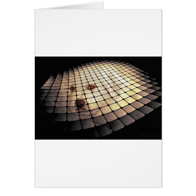 Coola Hund Digital Art Hälsningskort (Framsidan)