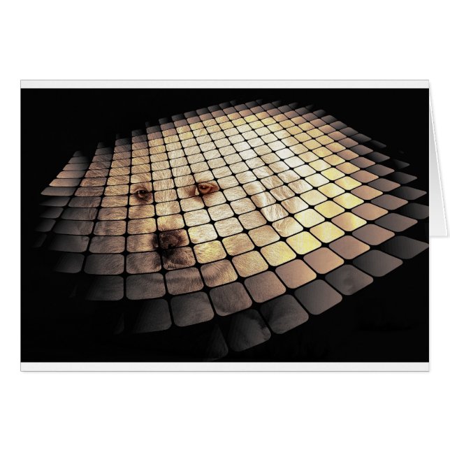 Coola Hund Digital Art Hälsningskort (Framsidan Horizontal)