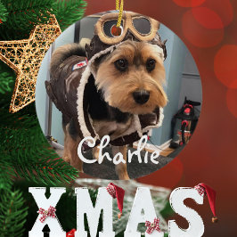 Coola Hund Pilot Photo,God jul,Anpassa Julgransprydnad Keramik