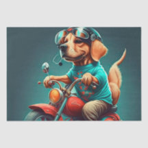 Coola hund som kör motorcykel