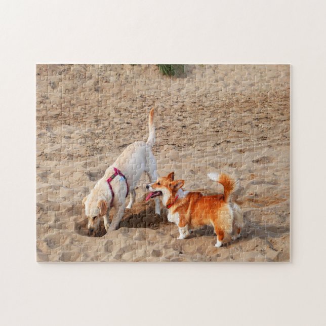 coola hundar på stranden pussel (Horisontell)