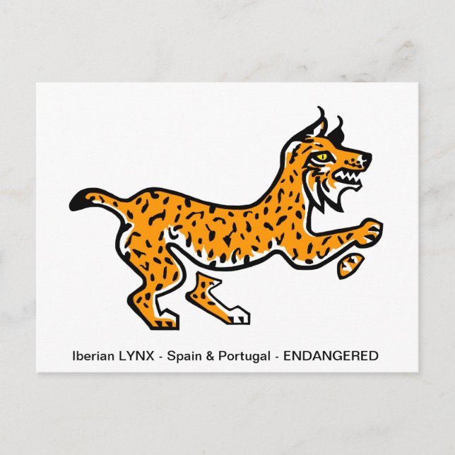 Coola Iberiska LYNX- Bevarande - Ekologi - Natur Vykort (Framsida)
