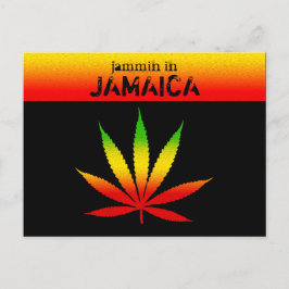 Coola Jammin i Jamaica Reggae Rasta Postcard Vykort