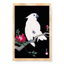 Coola japanansk vit cockatoo parrot tropiska fågla
