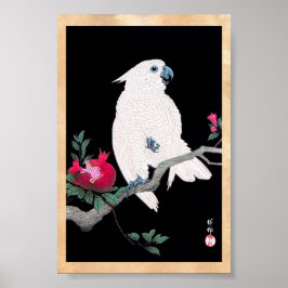 Coola japanansk vit cockatoo parrot tropiska fågla poster