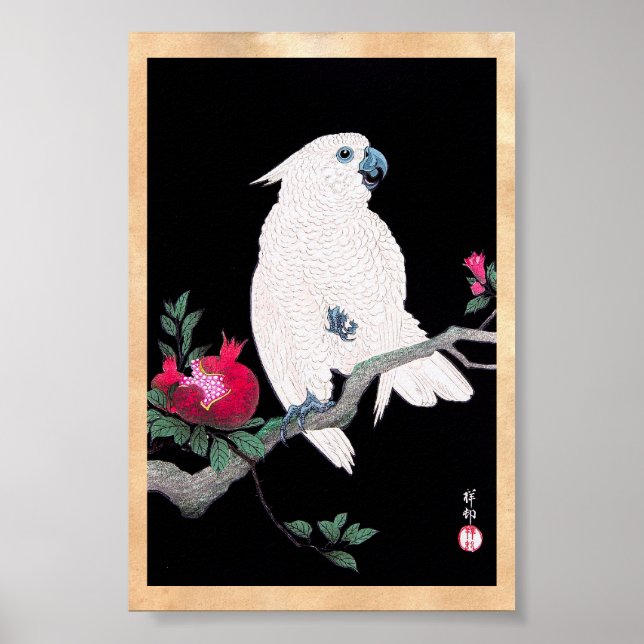 Coola japanansk vit cockatoo parrot tropiska fågla poster (Framsidan)