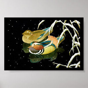 Coola japanese mandarina anka svarta pond snö poster