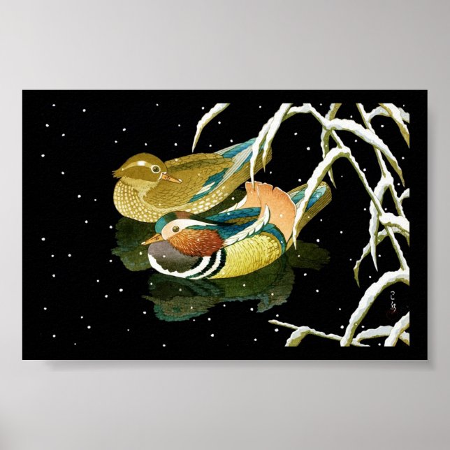Coola japanese mandarina anka svarta pond snö poster (Framsidan)