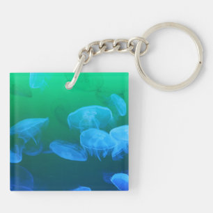 Coola Jellyfish Grönt Blue Gradient