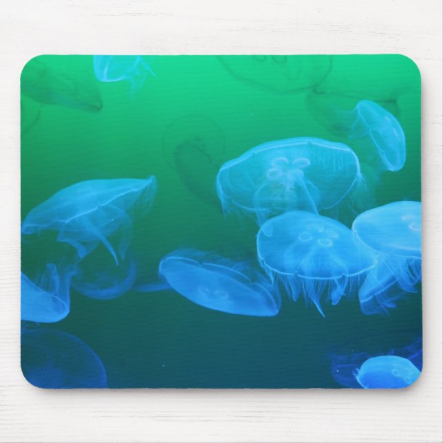 Coola Jellyfish Grönt Blue Gradient Musmatta (Framsidan)