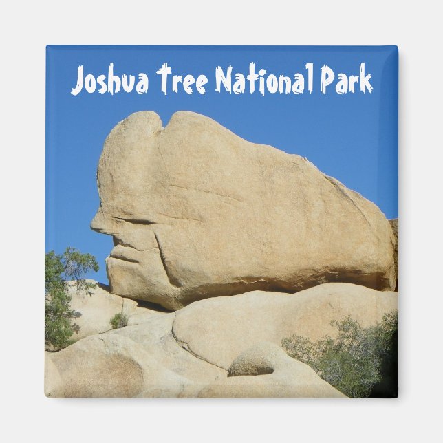 Coola Joshua Träd Park Magnet! Magnet (Framsidan)