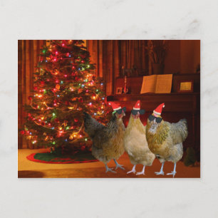 Coola Julafton Chickens Helg Vykort