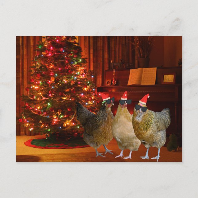 Coola Julafton Chickens Helg Vykort (Framsida)