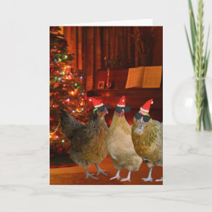 Coola Julafton Chickens Helgkort