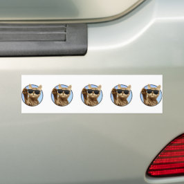 Coola Katt Bumper Sticker Bildekal