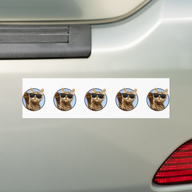 Coola Katt Bumper Sticker Bildekal (På Bil)