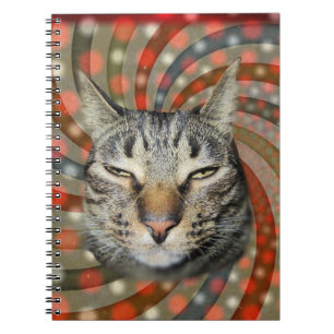 Coola Katt - DU GÖR DET! Anteckningsbok
