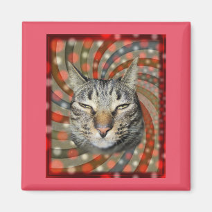 Coola Katt - DU GÖR DET! Magnet