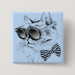 Coola Katt Knapp