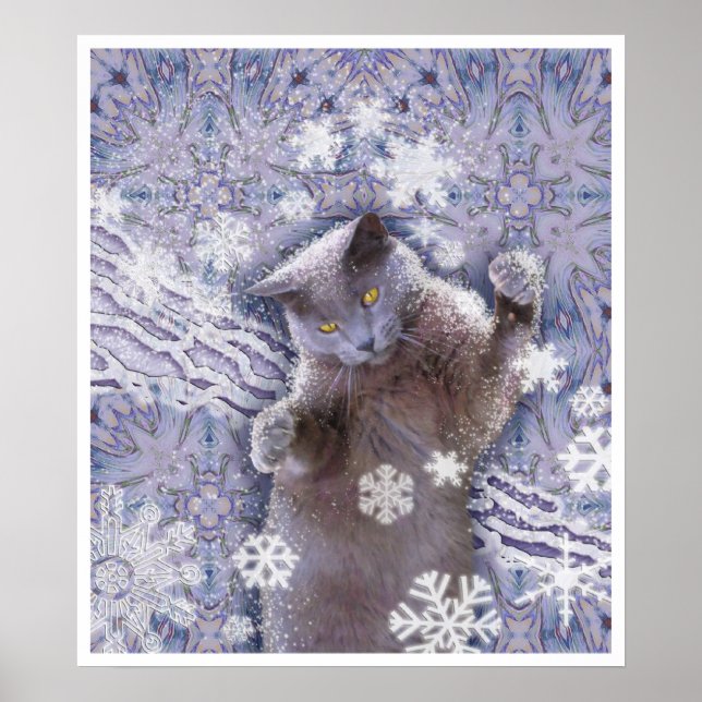 Coola Katt Poster (Framsidan)