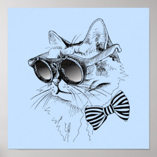 Coola Katt Poster