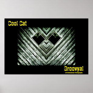 Coola Katt Poster