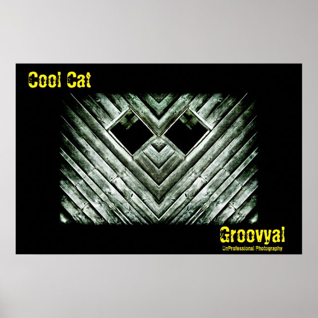 Coola Katt Poster (Framsidan)