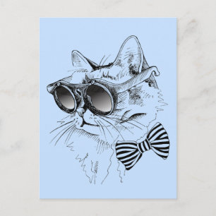 Coola Katt Vykort