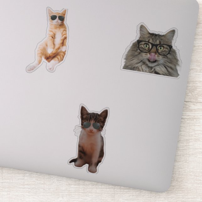 Coola - Kattmedlemmar Klistermärken (Detalj)