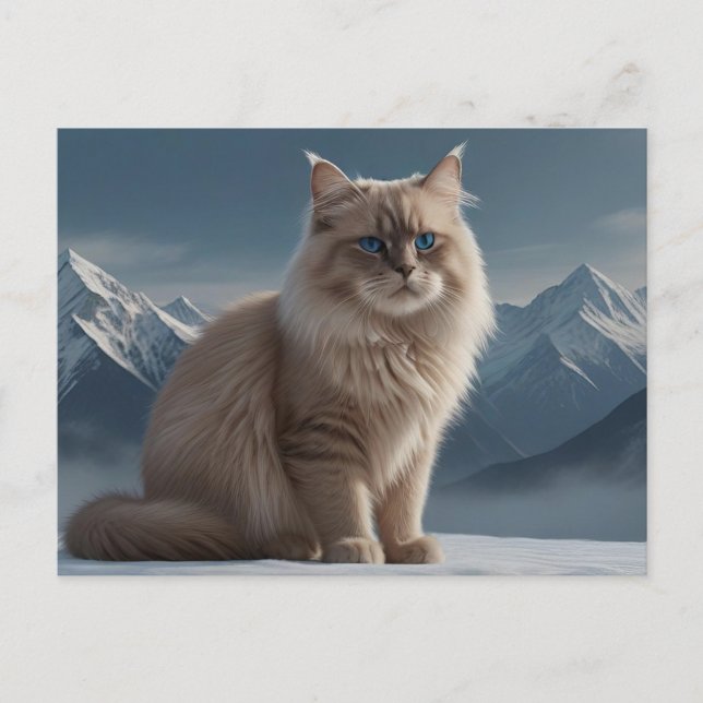 Coola Kattunge Vykort (Framsida)