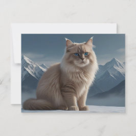 Coola Kattunge Vykort