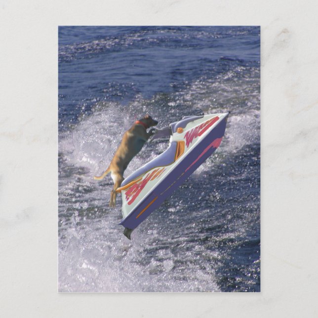 Coola Lab Jumping Vågar Vykort (Framsida)