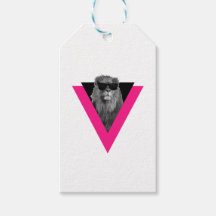 Coola Lejon Presenttagg