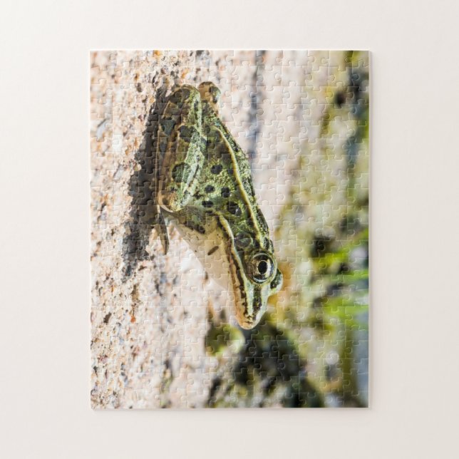 Coola Leopard Frog Pussel (Vertikal)