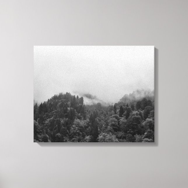 Coola, magisk dimma canvastryck (Framsida)