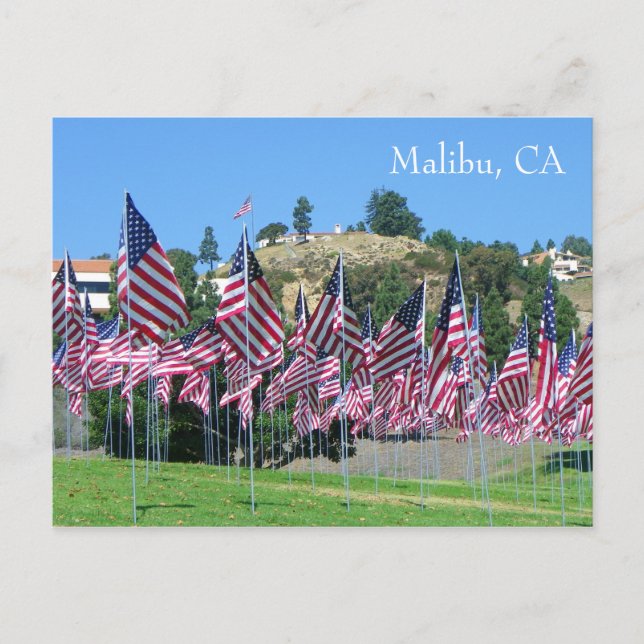 Coola Malibu-vykort! Vykort (Framsida)