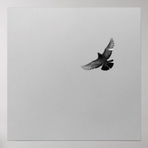 Coola Modern B&W-flygande fågel - modern design Poster