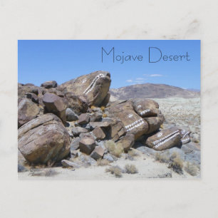 Coola Mojave Desert-vykort! Vykort