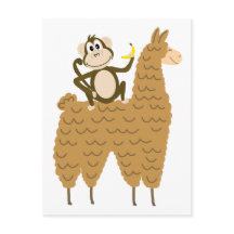 Coola Monkey Riding a Llama